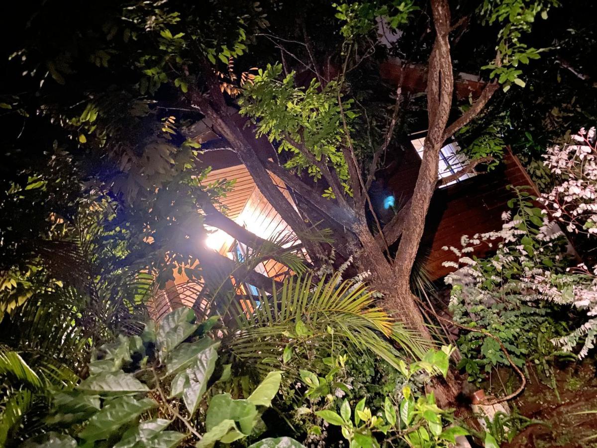 Chalet Pittoresque A Le Tampon, Vue Mont. Εξωτερικό φωτογραφία